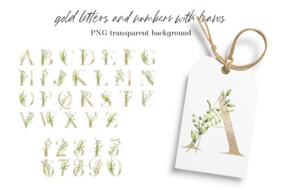Alphabet, Gold Letters and Numbers, PNG Review